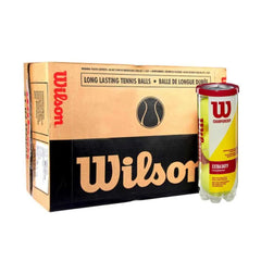 WILSON Championship Tennis Ball Carton (72 Balls)